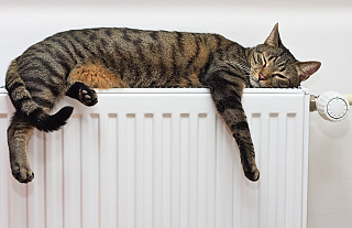 От чего зависит тепло в доме?