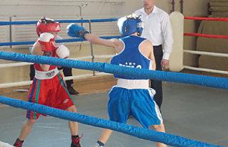 Первенство по боксу на призы Островецкого отдела по физкультуре, спорту и туризму