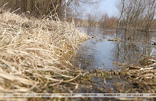 На каких реках Беларуси повысились уровни воды, рассказали в Белгидромете На каких реках Беларуси повысились уровни воды, рассказали в Белгидромете