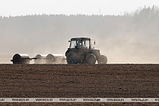 Ранние яровые зерновые и зернобобовые в Беларуси посеяны почти на 23% площадей