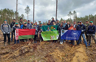Белорусская АЭС приняла участие в «Неделе леса»