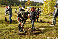 Посадили деревья – озеленили родную Островетчину 