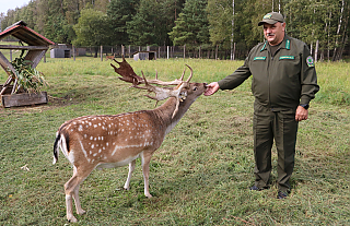Нагрудны знак «Ганаровы лесавод» атрымаў вядучы інжынер па паляўнічай гаспадарцы Віктар Урбановіч