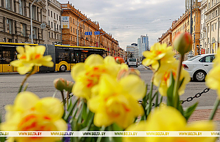 Около 84,5 тыс. граждан ЕС въехали в Беларусь без виз с начала года