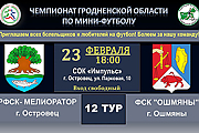 23 февраля в СОК «Импульс» состоится чемпионат Гродненской области по мини-футболу