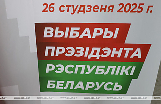 Наблюдатели от СНГ: агитационная кампания проходит в Беларуси спокойно и организованно