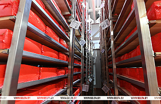 Беларусь за четыре года экспортировала продовольствия и сельскохозяйственного сырья на более чем $30 млрд