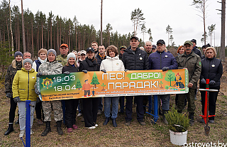 “Лес. Дабро. Парадак”: акция по посадке деревьев объединила островчан 