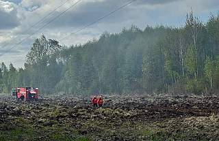 Из-за аномально сухой погоды в Гродненской области сохраняется высокая пожарная опасность