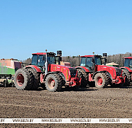 В Беларуси засеяно 40% площадей яровых культур