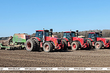 В Беларуси засеяно 40% площадей яровых культур