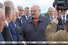 "Специалистов много, пока хромает организация". Александр Лукашенко о кадровом эксперименте среди руководителей областей 