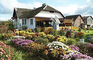 Что о районном конкурсе к Году благоустройства говорят победители
