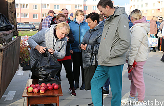 Приглашаем к участию в ярамарке производителей сельхозпродукции