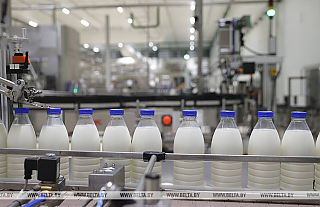 Сколько сельхозпродукции произвели в Беларуси за январь-сентябрь этого года, рассказали в Белстате