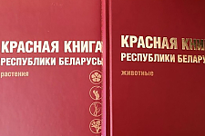 Готовится 5-е издание Красной книги Беларуси