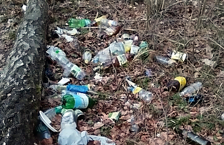 Женский взгляд: главней всего – порядок в доме