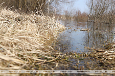 На каких реках Беларуси повысились уровни воды, рассказали в Белгидромете