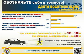 Госавтоинспекция призывает: засветитесь в темноте! 