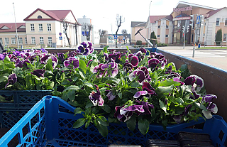 Кто заботится о чистоте и порядке в городе.