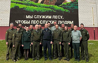 Мурал на лесную тематику украсил один из домов в Островце