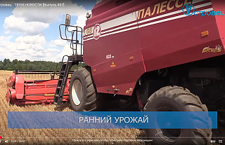 ТВой Островец - ТВОИ НОВОСТИ [Выпуск 497]