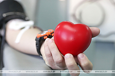 Рекордное количество цельной донорской крови было заготовлено в 2023 году в Беларуси