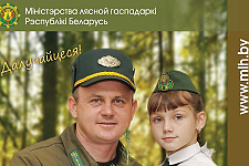 Астравецкі лясгас запрашае далучыцца да акцыі “Дай лесу новае жыццё!”