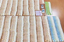 Брестские таможенники с начала года более 420 раз предотвратили незаконный вывоз валюты за границу