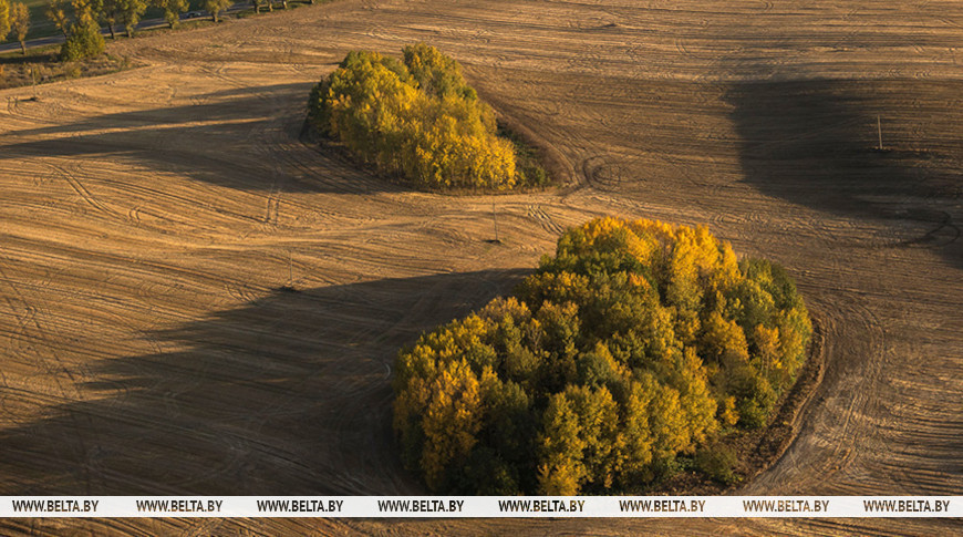 Фото БелТА