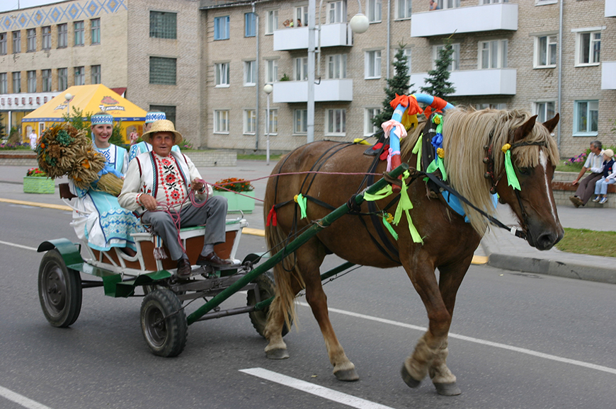 Едзем на «Дажынкі»!